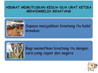 HIKMAT MEMUTUSKAN KEDUA-DUA URAT KETIKA MENYEMBELIH BINATANG 