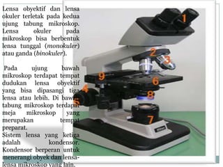 Lensa obyektif dan lensa
okuler terletak pada kedua
ujung tabung mikroskop.
Lensa okuler pada
mikroskop bisa berbentuk
lensa tunggal (monokuler)
atau ganda (binokuler).
Pada ujung bawah
mikroskop terdapat tempat
dudukan lensa obyektif
yang bisa dipasangi tiga
lensa atau lebih. Di bawah
tabung mikroskop terdapat
meja mikroskop yang
merupakan tempat
preparat.
Sistem lensa yang ketiga
adalah kondensor.
Kondensor berperan untuk
menerangi obyek dan lensa-
lensa mikroskop yang lain.
 