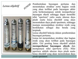 Pembentukan bayangan pertama dan
menentukan struktur serta bagian renik
yang akan terlihat pada bayangan akhir
serta berkemampuan untuk memperbesar
bayangan obyek sehingga dapat memiliki
nilai “apertura” yaitu suatu ukuran daya
pisah suatu lensa obyektif yang akan
menentukan daya pisah spesimen, sehingga
mampu menunjukkan struktur renik yang
berdekatan sebagai dua benda yang
terpisah.
Lensa obyektif bekerja dalam pembentukan
bayangan pertama.
Lensa ini menentukan struktur dan bagian
renik yang akan terlihat pada bayangan
akhir. Ciri penting lensa obyektif adalah
memperbesar bayangan obyek dan
mempunyai nilai apertura (NA). Nilai
apertura adalah ukuran daya pisah suatu
lensa obyektif yang akan menentukan daya
pisah spesimen
Lensa objektif
 