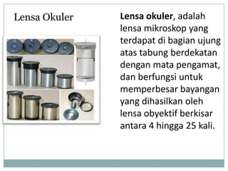 Lensa okuler, adalah
lensa mikroskop yang
terdapat di bagian ujung
atas tabung berdekatan
dengan mata pengamat,
dan berfungsi untuk
memperbesar bayangan
yang dihasilkan oleh
lensa obyektif berkisar
antara 4 hingga 25 kali.
Lensa Okuler
 