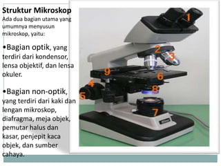 Struktur Mikroskop
Ada dua bagian utama yang
umumnya menyusun
mikroskop, yaitu:
•Bagian optik, yang
terdiri dari kondensor,
lensa objektif, dan lensa
okuler.
•Bagian non-optik,
yang terdiri dari kaki dan
lengan mikroskop,
diafragma, meja objek,
pemutar halus dan
kasar, penjepit kaca
objek, dan sumber
cahaya.
 