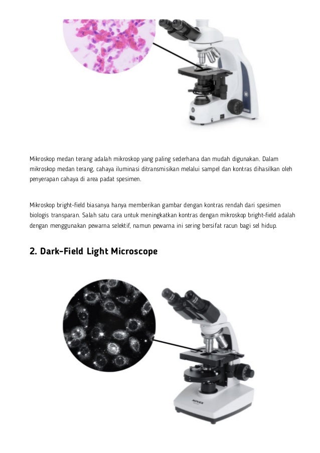 Mikroskop Cahaya - Jenis dan Contoh Light Microscope Terbaik | PDF