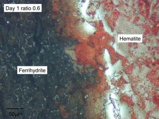 50µm Day 1 ratio 0.6 Hematite Ferrihydrite 
