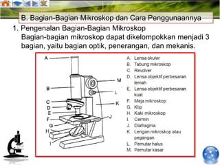 B. Bagian-Bagian Mikroskop dan Cara Penggunaannya
1. Pengenalan Bagian-Bagian Mikroskop
   Bagian-bagian mikroskop dapat dikelompokkan menjadi 3
   bagian, yaitu bagian optik, penerangan, dan mekanis.
 