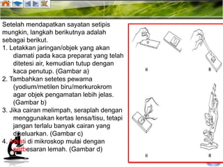 Setelah mendapatkan sayatan setipis
mungkin, langkah berikutnya adalah
sebagai berikut.
1. Letakkan jaringan/objek yang akan
    diamati pada kaca preparat yang telah
    ditetesi air, kemudian tutup dengan
    kaca penutup. (Gambar a)
2. Tambahkan setetes pewarna
    (yodium/metilen biru/merkurokrom
    agar objek pengamatan lebih jelas.
    (Gambar b)
3. Jika cairan melimpah, seraplah dengan
    menggunakan kertas lensa/tisu, tetapi
    jangan terlalu banyak cairan yang
    dikeluarkan. (Gambar c)
4. Amati di mikroskop mulai dengan
    perbesaran lemah. (Gambar d)
 