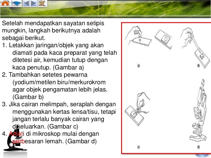 Mikroskop Kes Kerja 3