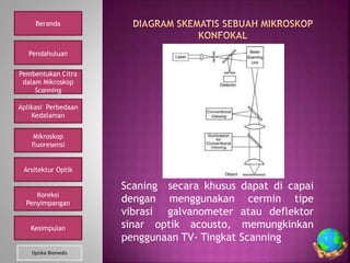 Mikroskop konfokal PPT