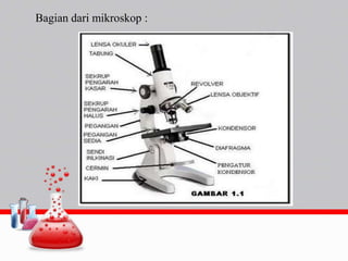 Bagian dari mikroskop :
 