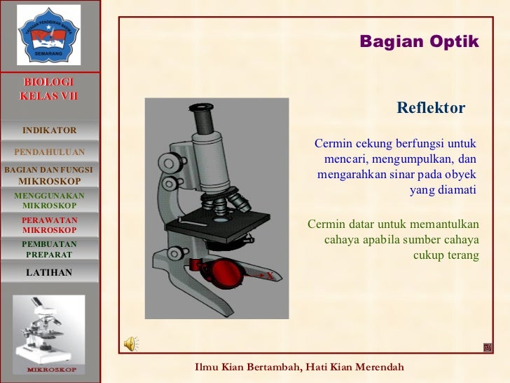 Mikroskop Penjelasan Bagian Bagian Dan Fungsi Kerjanya