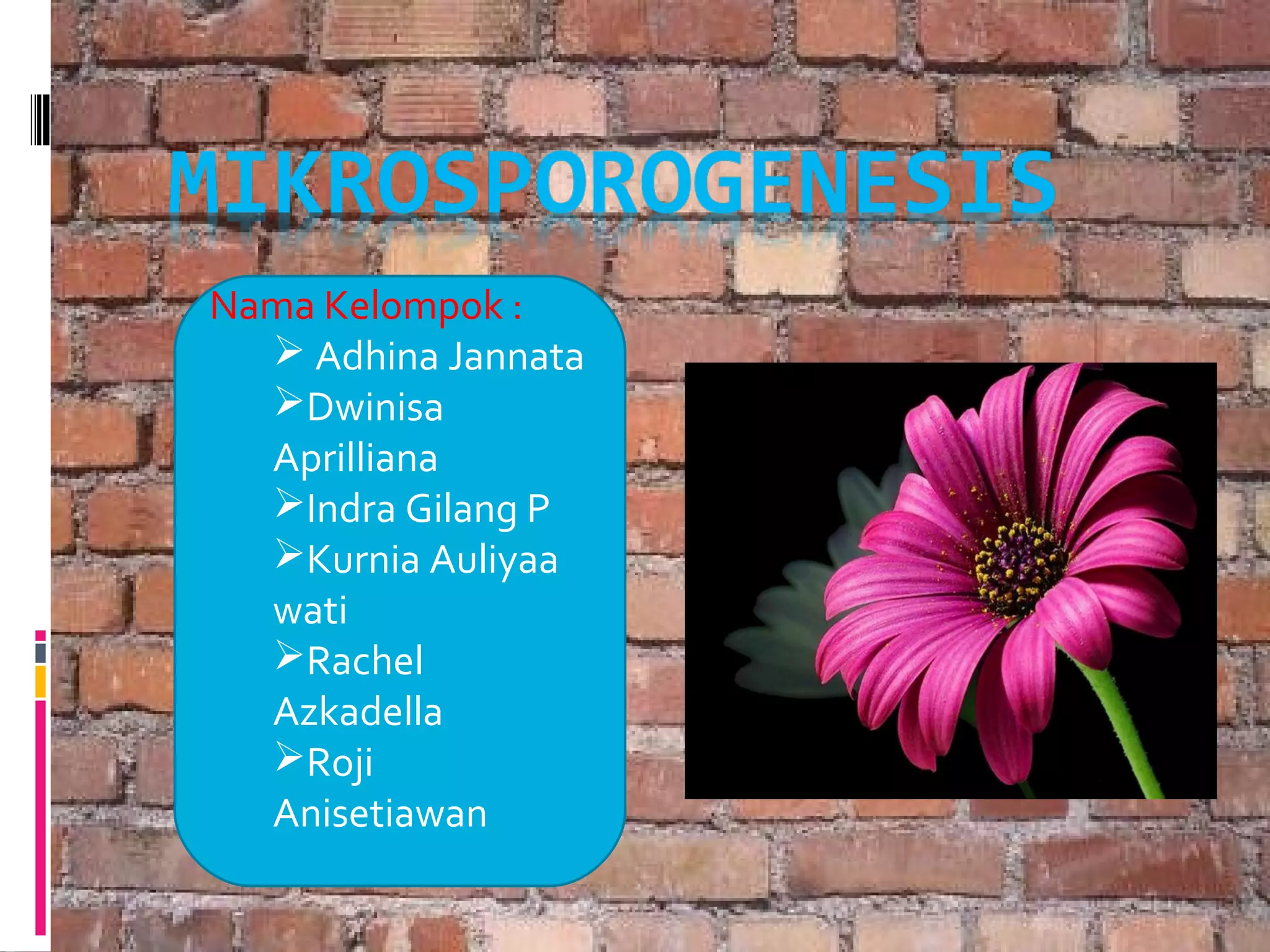 Nama Kelompok :
Adhina Jannata
Dwinisa
Aprilliana
Indra Gilang P
Kurnia Auliyaa
wati
Rachel
Azkadella
Roji
Anisetiawan