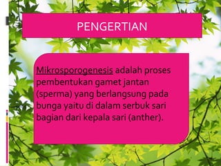 PENGERTIAN
Mikrosporogenesis adalah proses
pembentukan gamet jantan
(sperma) yang berlangsung pada
bunga yaitu di dalam serbuk sari
bagian dari kepala sari (anther).
