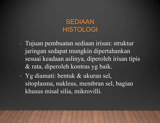 SEDIAAN
HISTOLOGI
• Tujuan pembuatan sediaan irisan: struktur
jaringan sedapat mungkin dipertahankan
sesuai keadaan aslinya, diperoleh irisan tipis
& rata, diperoleh kontras yg baik.
• Yg diamati: bentuk & ukuran sel,
sitoplasma, nukleus, membran sel, bagian
khusus misal silia, mikrovilli.
 