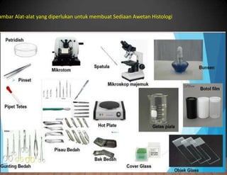 ambar Alat-alat yang diperlukan untuk membuat Sediaan Awetan Histologi
 