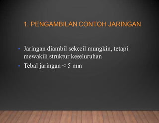 1. PENGAMBILAN CONTOH JARINGAN
• Jaringan diambil sekecil mungkin, tetapi
mewakili struktur keseluruhan
• Tebal jaringan < 5 mm
 