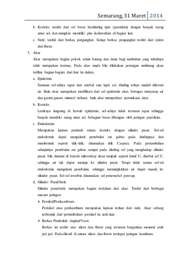 Laporan Praktikum Non-Embedding Citrus sp_Dewi Setiyana