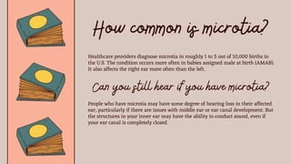 SMALL EARS visual data 4