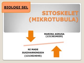 SITOSKELET
(MIKROTUBULA)
MARINA ASNUSA
(1213024039)
NI MADE
SUGIHARNINGSIH
(1213024045)
BIOLOGI SEL
 