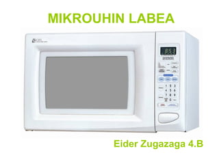 MIKROUHIN LABEA




       Eider Zugazaga 4.B
 