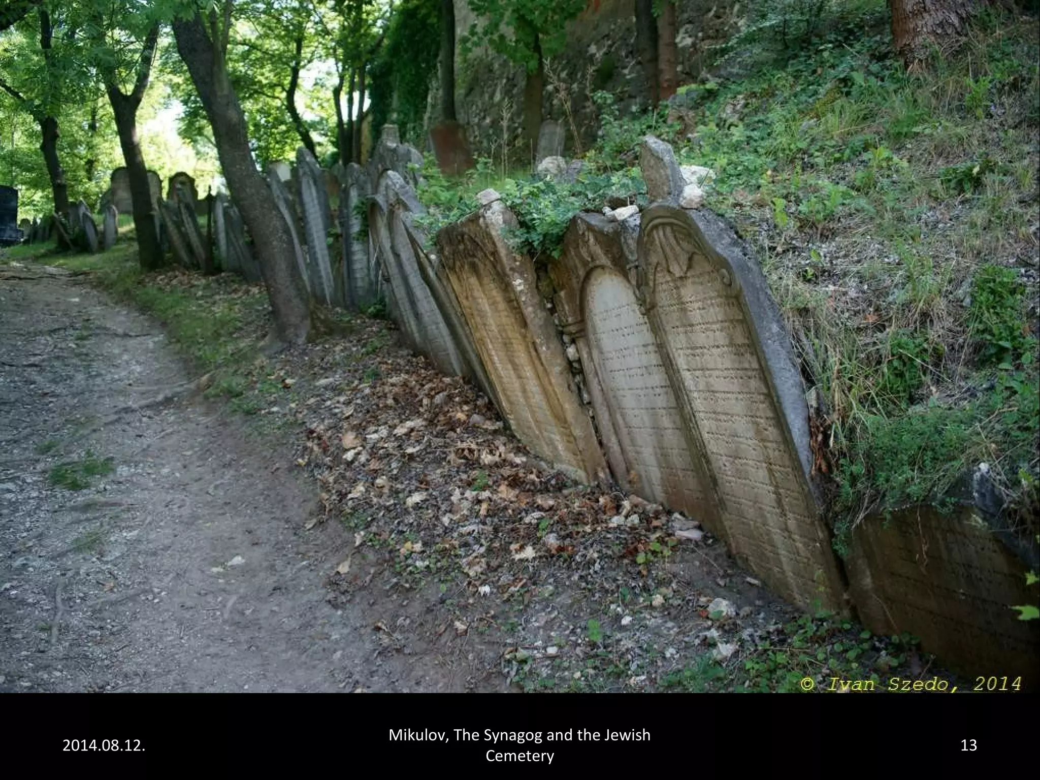 2014.08.12. 
Mikulov, The Synagog and the Jewish 
Cemetery 
13 
 