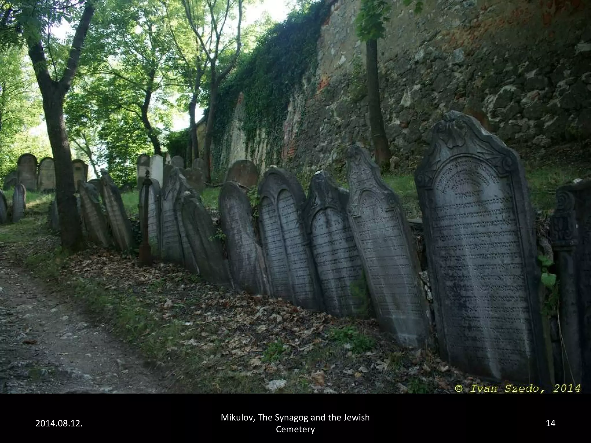 2014.08.12. 
Mikulov, The Synagog and the Jewish 
Cemetery 
14 
 