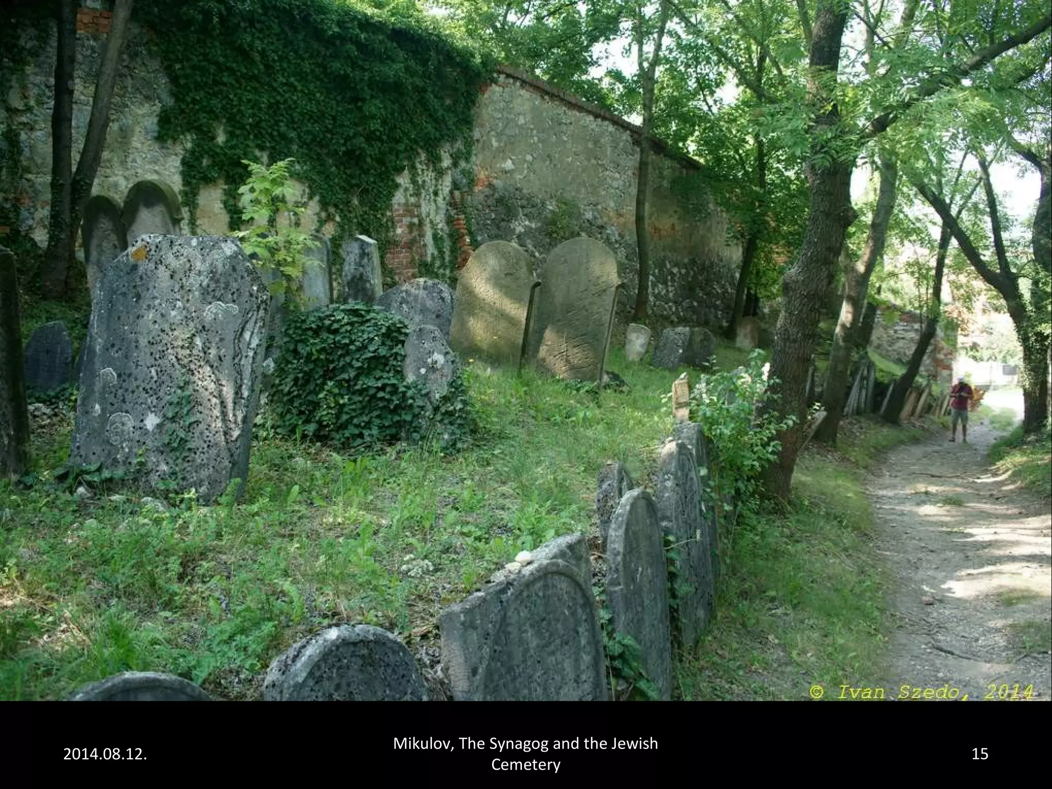 2014.08.12. 
Mikulov, The Synagog and the Jewish 
Cemetery 
15 
 