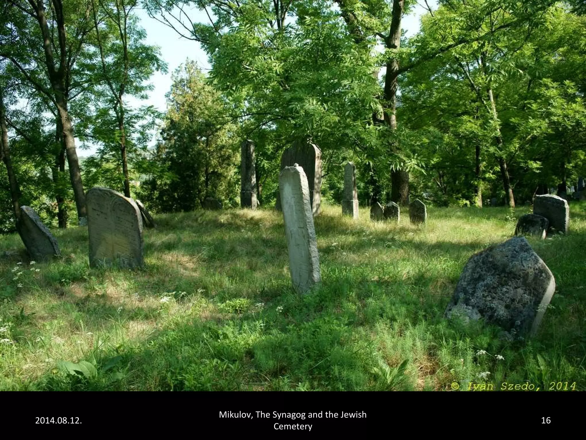 2014.08.12. 
Mikulov, The Synagog and the Jewish 
Cemetery 
16 
 