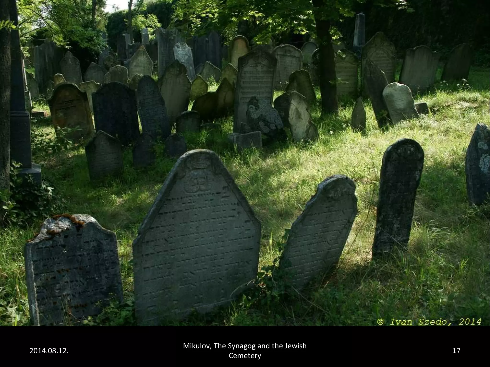 2014.08.12. 
Mikulov, The Synagog and the Jewish 
Cemetery 
17 
 