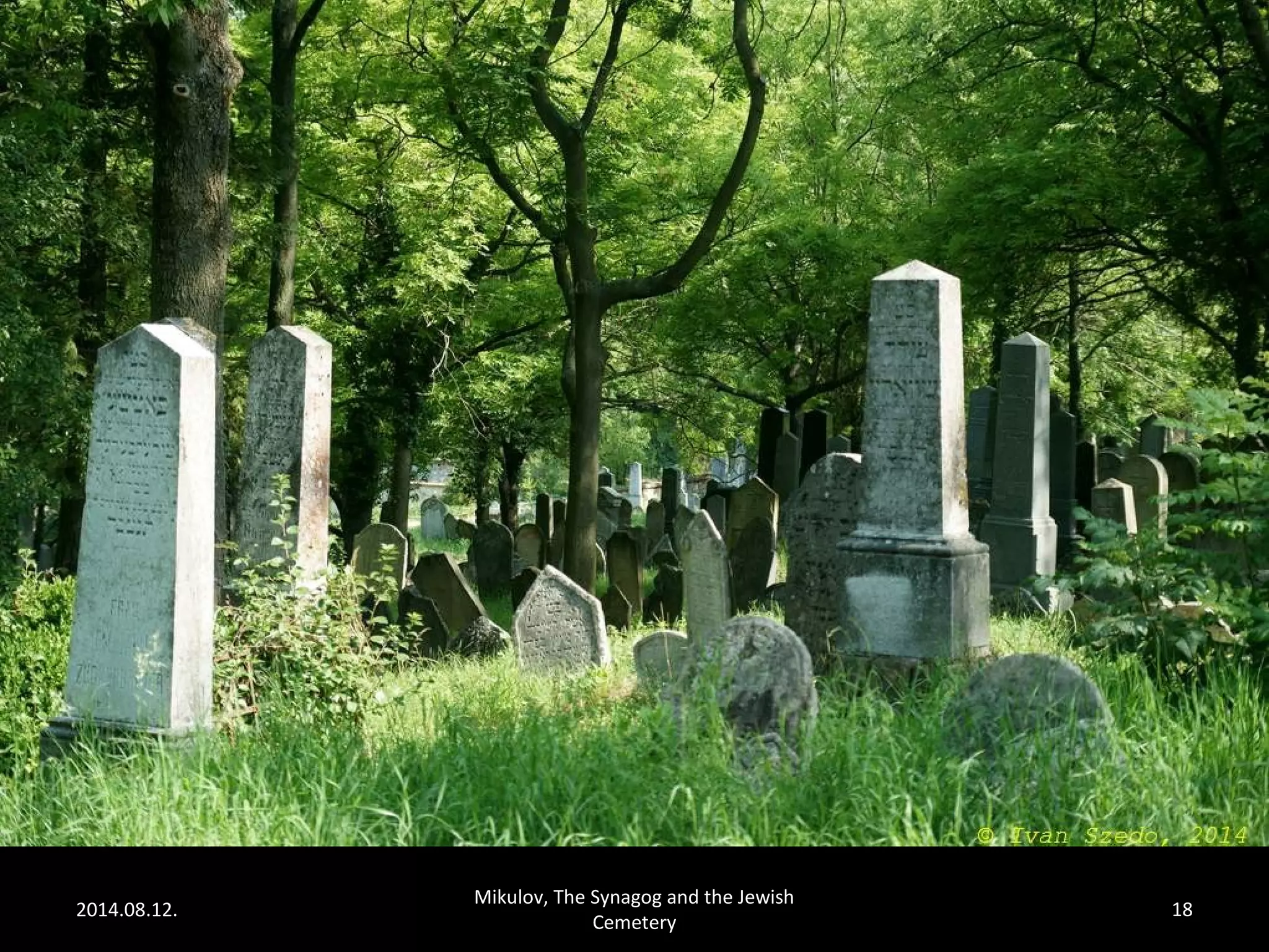 2014.08.12. 
Mikulov, The Synagog and the Jewish 
Cemetery 
18 
 