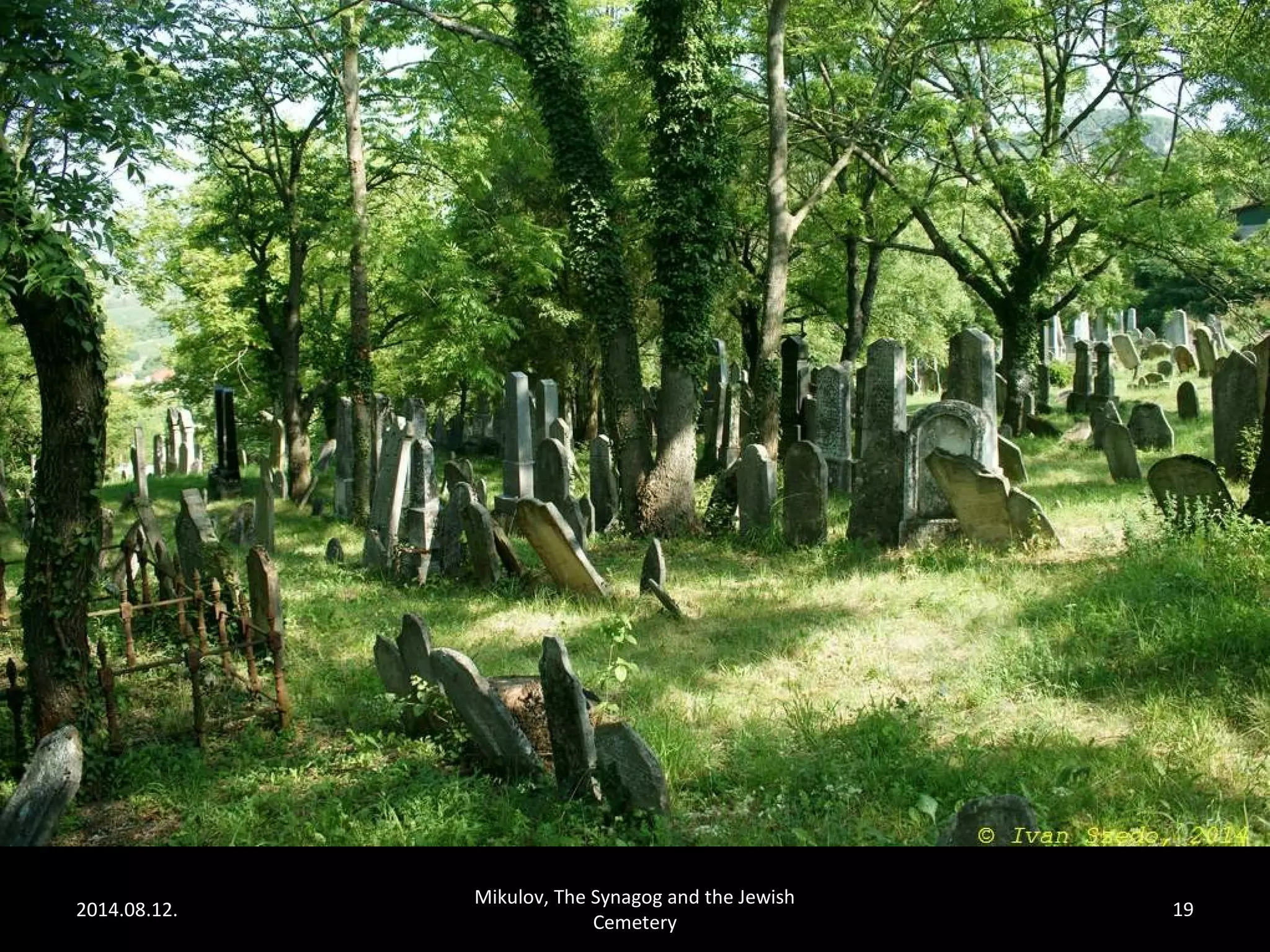 2014.08.12. 
Mikulov, The Synagog and the Jewish 
Cemetery 
19 
 