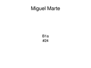 Miguel Marte B1a #24 
