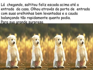 Lá  chegando, saltitou feliz escada acima até a entrada  da casa. Olhou através da porta de  entrada com suas orelhinhas bem levantadas e a cauda balançando tão rapidamente quanto podia.  Para sua grande surpresa,  