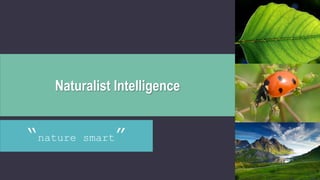 Naturalist Intelligence
“nature smart”
 