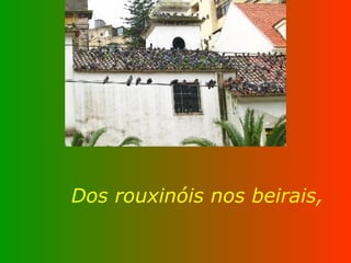 Dos rouxinóis nos beirais, 
