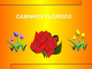 CAMINHOS FLORIDOS 
