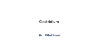 Clostridium
1
Dr . Milad Shaini
 