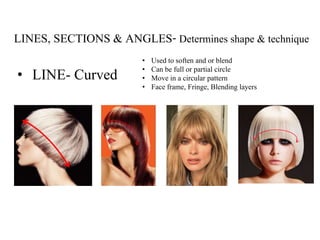 • LINE- Curved
• Used to soften and or blend
• Can be full or partial circle
• Move in a circular pattern
• Face frame, Fringe, Blending layers
LINES, SECTIONS & ANGLES- Determines shape & technique
 