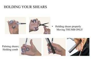 HOLDING YOUR SHEARS
• Holding shears properly
Moving THUMB ONLY
Palming shears;
Holding comb
 