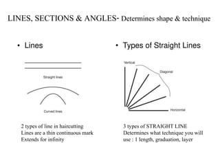 LINES, SECTIONS & ANGLES- Determines shape & technique
2 types of line in haircutting
Lines are a thin continuous mark
Extends for infinity
3 types of STRAIGHT LINE
Determines what technique you will
use : 1 length, graduation, layer
 