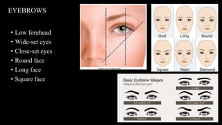 • Low forehead
• Wide-set eyes
• Close-set eyes
• Round face
• Long face
• Square face
EYEBROWS
 