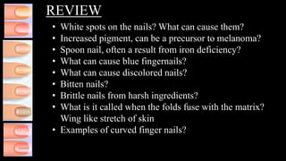 Milady nail disease & disorder | PPT