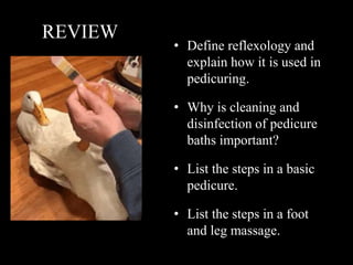 Milady pedicuring ch 26 | PPT