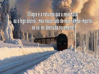 Milagre é a natureza que a neve mata ou o fogo destrói,  mas nasce tudo de novo sem se importar se vai ser destruída novamente! 