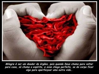 Milagre é ser um doador de órgãos, pois quando Deus chama para voltar para casa, só chama o espírito, e esse chega perfeito, se do corpo ficar algo para aperfeiçoar uma outra vida… 
