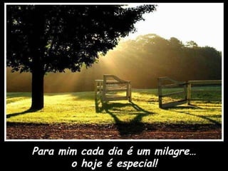 Para mim cada dia é um milagre… o hoje é especial! 