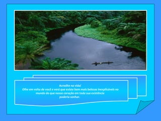 Acredite na vida!  Olhe em volta de você e verá que existe bem mais belezas inexplicáveis no mundo do que nosso coração em toda sua existência  poderia sonhar.    