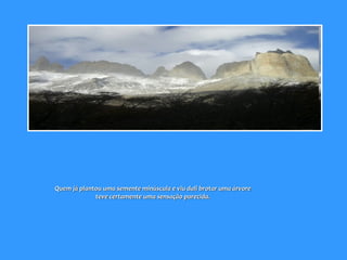 Quem já plantou uma semente minúscula e viu dali brotar uma árvore teve certamente uma sensação parecida.  