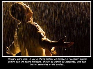 Milagre para mim, é ver a chuva molhar os campos e recender aquele cheiro bom de terra molhada, cheiro de banho de natureza, que faz  brotar sementes e até sonhos… 