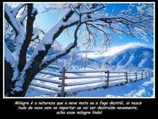 Milagre é a natureza que a neve mata ou o fogo destrói, ai nasce
 tudo de novo sem se importar se vai ser destruída novamente,
                     acho esse milagre lindo!
 