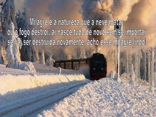 Milagre é a natureza que a neve mata ou o fogo destrói, ai nasce tudo de novo sem se importar se vai ser destruída novamente, acho esse milagre lindo! 