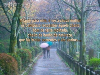 Milagre para mim, é ver a chuva molhar os campos e reacender aquele cheiro bom de terra molhada, cheiro de banho de natureza, que faz brotar sementes e até sonhos.... 